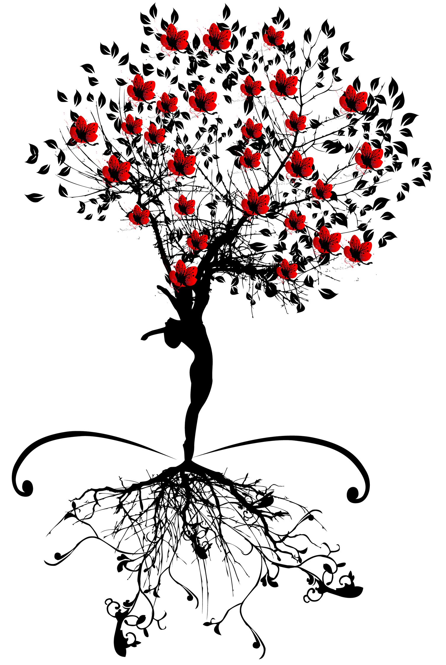 My Balanced Life Coaching